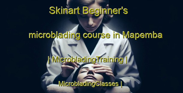 Skinart Beginner's microblading course in Mapemba | MicrobladingTraining | MicrobladingClasses | SkinartTraining-the Democratic Republic of the Congo